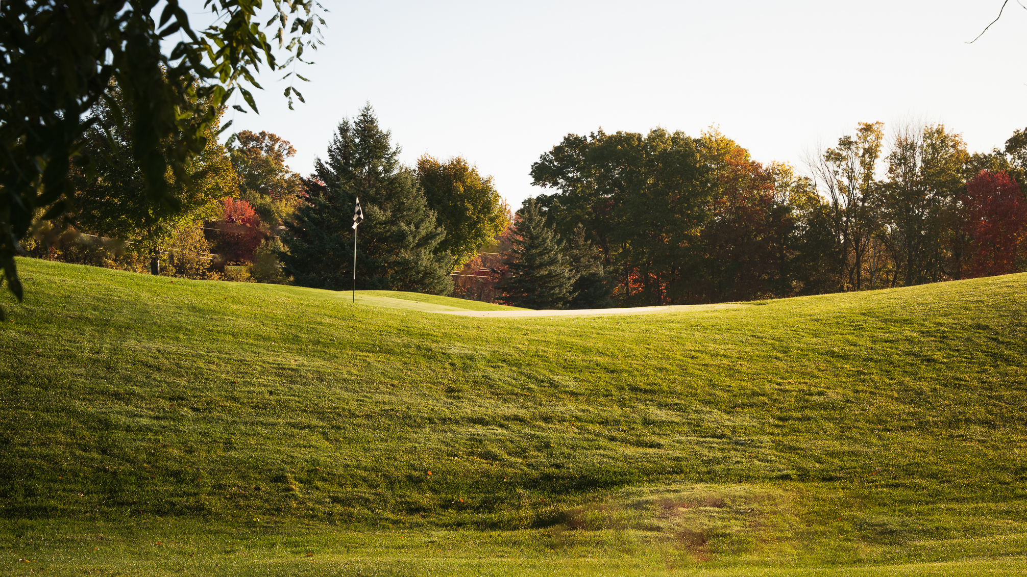 Golf course green